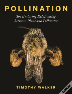 Capa do artigo Pollination