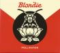Pollinator - CD - Preview