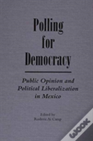 Polling For Democracy