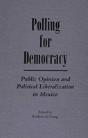 Polling For Democracy - Preview