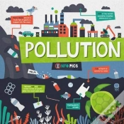 Capa do artigo Pollution
