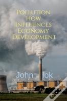 Pollution How Influences Economy Development