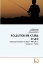 Pollution In Kabul River - Preview