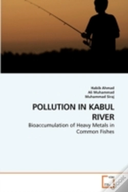 Capa do artigo Pollution In Kabul River