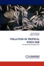 Pollution In Tropical River Ami - Preview