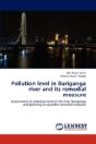 Pollution Level In Buriganga River And I - Preview