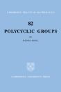 Polycyclic Groups - Preview