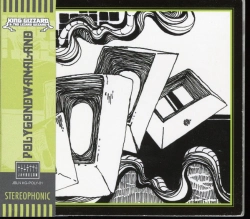 Capa do artigo Polygondwanaland - CD