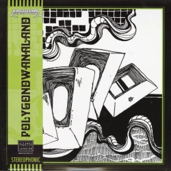 Capa do artigo Polygondwanaland - Vinil