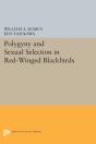 Polygyny And Sexual Selection In Red-Winged Blackbirds - Preview