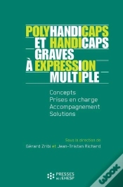 Capa do artigo Polyhandicaps Et Handicaps Graves À Expression Multiple - Concepts, Prise En Charge, Accompagnement, Solutions