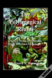 Capa do artigo Polyimagical Realm