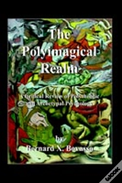 Capa do artigo Polyimagical Realm