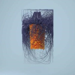 Capa do artigo Polymer - CD