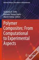 Polymer Composites: From Computational To Experimental Aspects