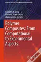 Polymer Composites: From Computational To Experimental Aspects