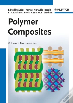 Capa do artigo Polymer Composites