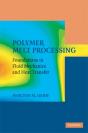 Polymer Melt Processing - Preview