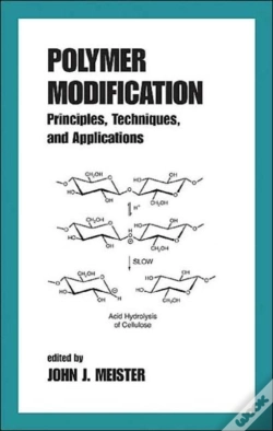 Capa do artigo Polymer Modification