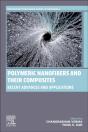 Polymeric Nanofibers And Their Composites - Preview