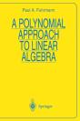 Polynomial Approach To Linear Algebra - Preview