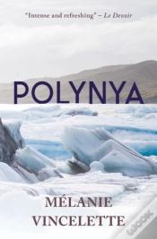 Capa do artigo Polynya