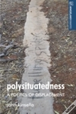 Capa do artigo Polysituatedness