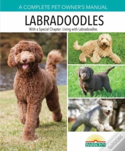 Capa do artigo Pom Labradoodles
