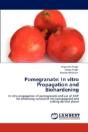 Pomegranate - Preview