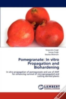 Capa do artigo Pomegranate