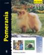 Pomerania - Preview