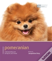 Capa do artigo Pomeranian - Dog Expert