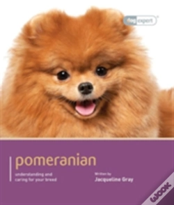 Capa do artigo Pomeranian - Dog Expert