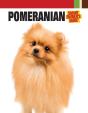Pomeranian - Preview