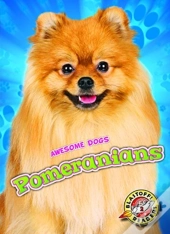 Pomeranians
