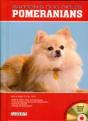Pomeranians - Preview