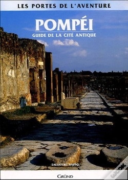 Capa do artigo Pompei
