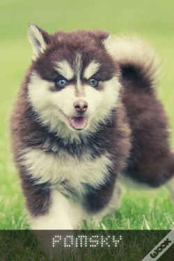 Capa do artigo Pomsky