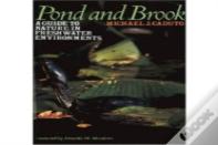 Pond And Brook