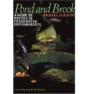 Pond And Brook - Preview