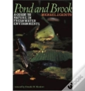 Pond And Brook