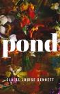 Pond - Preview
