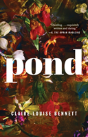 Pond - Preview