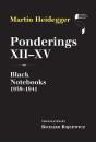 Ponderings Xii-Xv - Preview