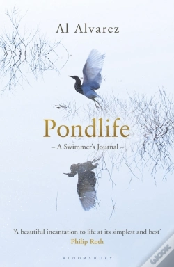 Capa do artigo Pondlife