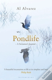 Capa do artigo Pondlife