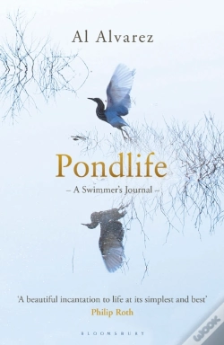 Capa do artigo Pondlife