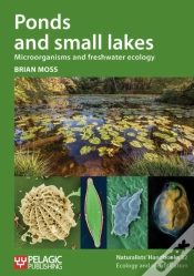Capa do artigo Ponds And Small Lakes