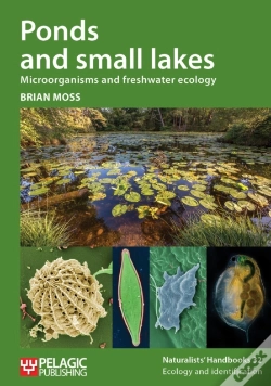 Capa do artigo Ponds And Small Lakes