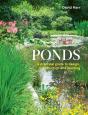 Ponds - Preview